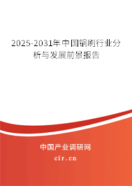 2025-2031年中國鍋刷行業分析與發展前景報告