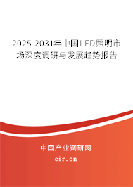 2025-2031年中國LED照明市場深度調研與發展趨勢報告
