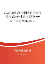 2025-2031年中國全自動燃氣蒸汽鍋爐行業現狀調研分析與市場前景預測報告