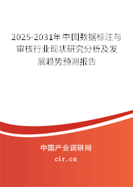 （最新）中國數據標注與審核行業現狀研究分析及發展趨勢預測報告