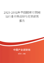 2025-2031年中國搜索引擎網站行業市場調研與前景趨勢報告