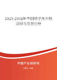 2025-2031年中國(guó)轉(zhuǎn)子片市場(chǎng)調(diào)研與前景分析