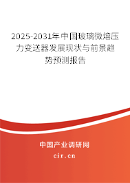 2025-2031年中國玻璃微熔壓力變送器發(fā)展現狀與前景趨勢預測報告