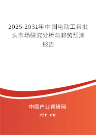 2025-2031年中國電動工具批頭市場研究分析與趨勢預測報告