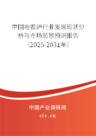 中國電弧爐行業發展現狀分析與市場前景預測報告（2025-2031年）