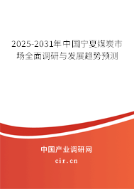 2025-2031年中國寧夏煤炭市場全面調(diào)研與發(fā)展趨勢預測
