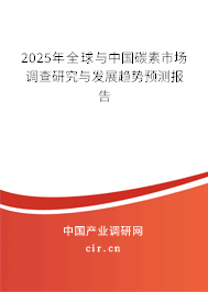 2025年全球與中國碳素市場調查研究與發展趨勢預測報告