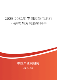 2025-2031年中國應急電池行業研究與發展趨勢報告