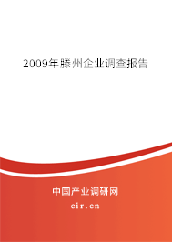 2009年滕州企業調查報告