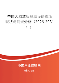 中國大腦放松輔助設備市場現狀與前景分析（2025-2031年）