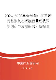2024-2030年全球與中國基烯丙基聚氧乙烯醚行業現狀深度調研與發展趨勢分析報告