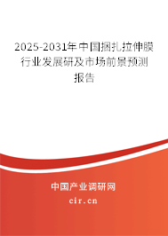 2025-2031年中國捆扎拉伸膜行業發展研及市場前景預測報告