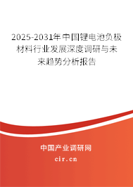 2025-2031年中國鋰電池負極材料行業發展深度調研與未來趨勢分析報告
