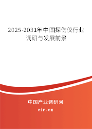 2025-2031年中國探傷儀行業調研與發展前景