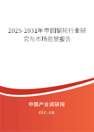 2025-2031年中國(guó)蝸輪行業(yè)研究與市場(chǎng)前景報(bào)告