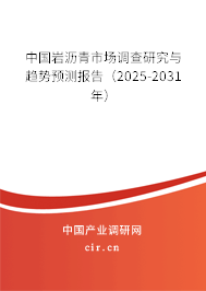 中國巖瀝青市場調(diào)查研究與趨勢預(yù)測報(bào)告（2025-2031年）