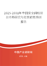 2025-2031年中國安全閥校驗臺市場研究與前景趨勢預測報告