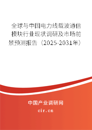 全球與中國電力線載波通信模塊行業現狀調研及市場前景預測報告（2025-2031年）