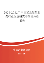 2025-2031年中國緊急屋頂服務行業發展研究與前景分析報告