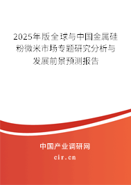 2025年版全球與中國金屬硅粉微米市場專題研究分析與發展前景預測報告