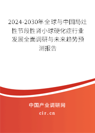2024-2030年全球與中國局灶性節段性腎小球硬化癥行業發展全面調研與未來趨勢預測報告