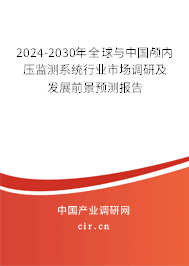 2024-2030年全球與中國顱內壓監測系統行業市場調研及發展前景預測報告