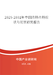 2025-2031年中國商場市場現狀與前景趨勢報告