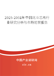 2025-2031年中國北斗芯片行業研究分析與市場前景報告 2025-2031年中國北斗芯片行業研究分析與市場前景報告