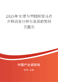 2025年全球與中國根管馬達市場調查分析與發展趨勢研究報告