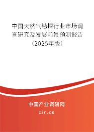 中國天然氣勘探行業市場調查研究及發展前景預測報告（2025年版）