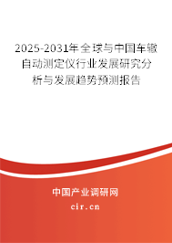 2024-2030年全球與中國車轍自動測定儀行業發展研究分析與發展趨勢預測報告