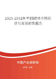 2025-2031年中國磁體市場現狀與發展趨勢報告