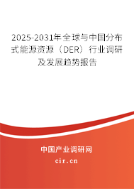 2025-2031年全球與中國(guó)分布式能源資源（DER）行業(yè)調(diào)研及發(fā)展趨勢(shì)報(bào)告