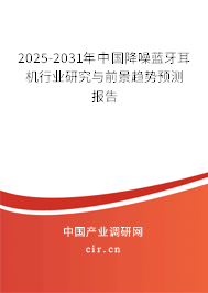 2025-2031年中國降噪藍牙耳機行業研究與前景趨勢預測報告