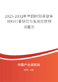2025-2031年中國樹脂基復合材料行業研究與發展前景預測報告