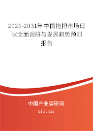 2025-2031年中國拖把市場現狀全面調研與發展趨勢預測報告