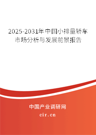2025-2031年中國小排量轎車市場(chǎng)分析與發(fā)展前景報(bào)告
