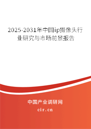 2025-2031年中國ip攝像頭行業(yè)研究與市場前景報告