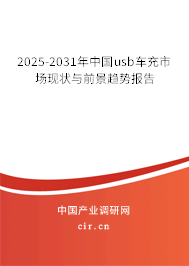 2025-2031年中國usb車充市場現狀與前景趨勢報告
