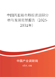 中國丙亞胺市場現狀調研分析與發展前景報告（2024-2030年）