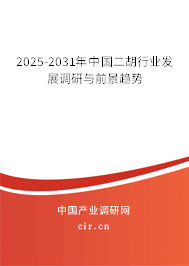 2024-2030年中國二胡行業發展調研與前景趨勢