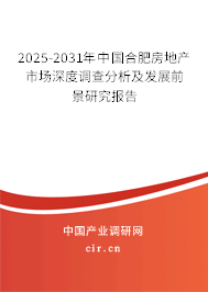 2025-2031年中國合肥房地產市場深度調查分析及發展前景研究報告
