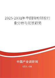 2025-2031年中國微粉硅膠行業分析與前景趨勢