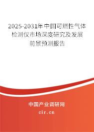 2025-2031年中國可燃性氣體檢測儀市場深度研究及發展前景預測報告