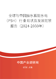 全球與中國抽水蓄能水電（PSH）行業(yè)現(xiàn)狀及發(fā)展前景報告（2024-2030年）