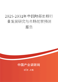 2025-2031年中國地基處理行業發展研究與市場前景預測報告
