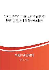 2025-2031年湖北皮革服裝市場現狀與行業前景分析報告