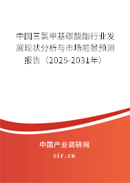 中國三氯甲基碳酸酯行業發展現狀分析與市場前景預測報告（2025-2031年）