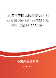 全球與中國太陽能野營燈行業(yè)發(fā)展調研及行業(yè)前景分析報告（2025-2031年）