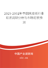 2025-2031年中國充皮紙行業現狀調研分析與市場前景預測 2025-2031年中國充皮紙行業現狀調研分析與市場前景預測